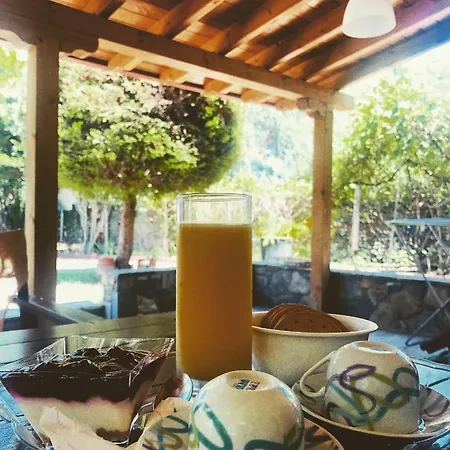 Lazaros Beachfront & Vurvurú