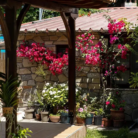 Lazaros Beachfront & Vourvourou